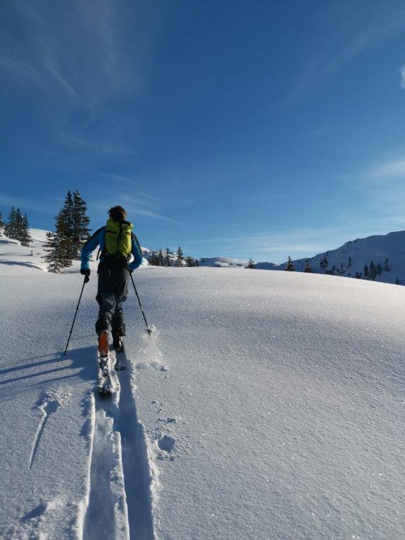 Baewuchzkogel Gosauumrundung 1
