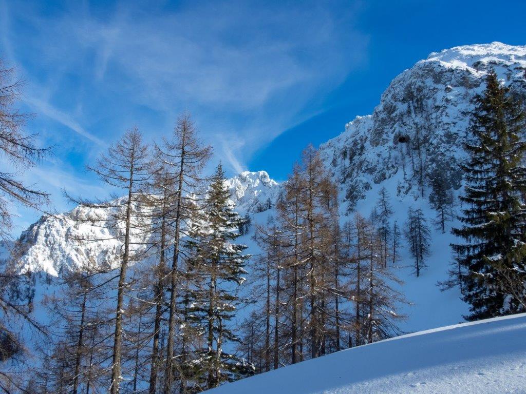 Baewuchzkogel Gosauumrundung 10